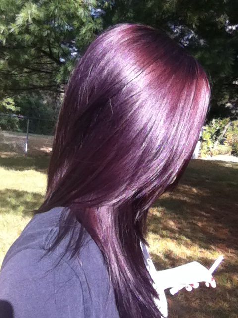 purple auburn