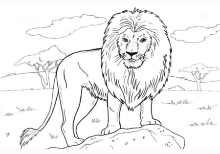 desenho-para-colorir-leao