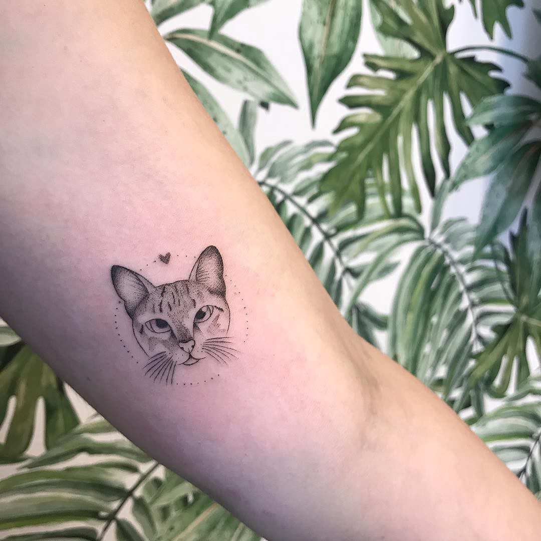 Tatuagem De Gato