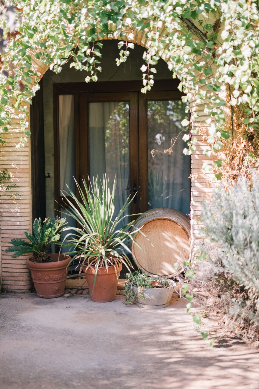 Quintal Decorado com Plantas