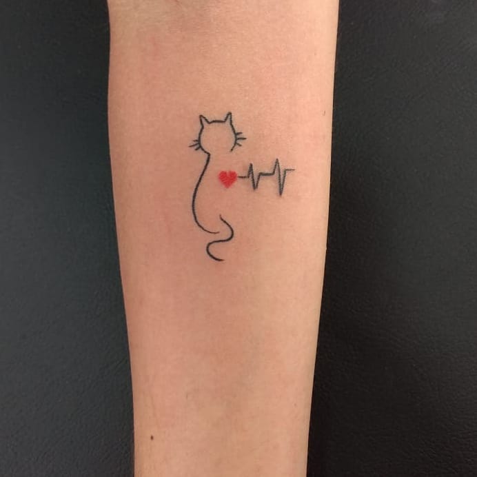 Tatuagem De Gato