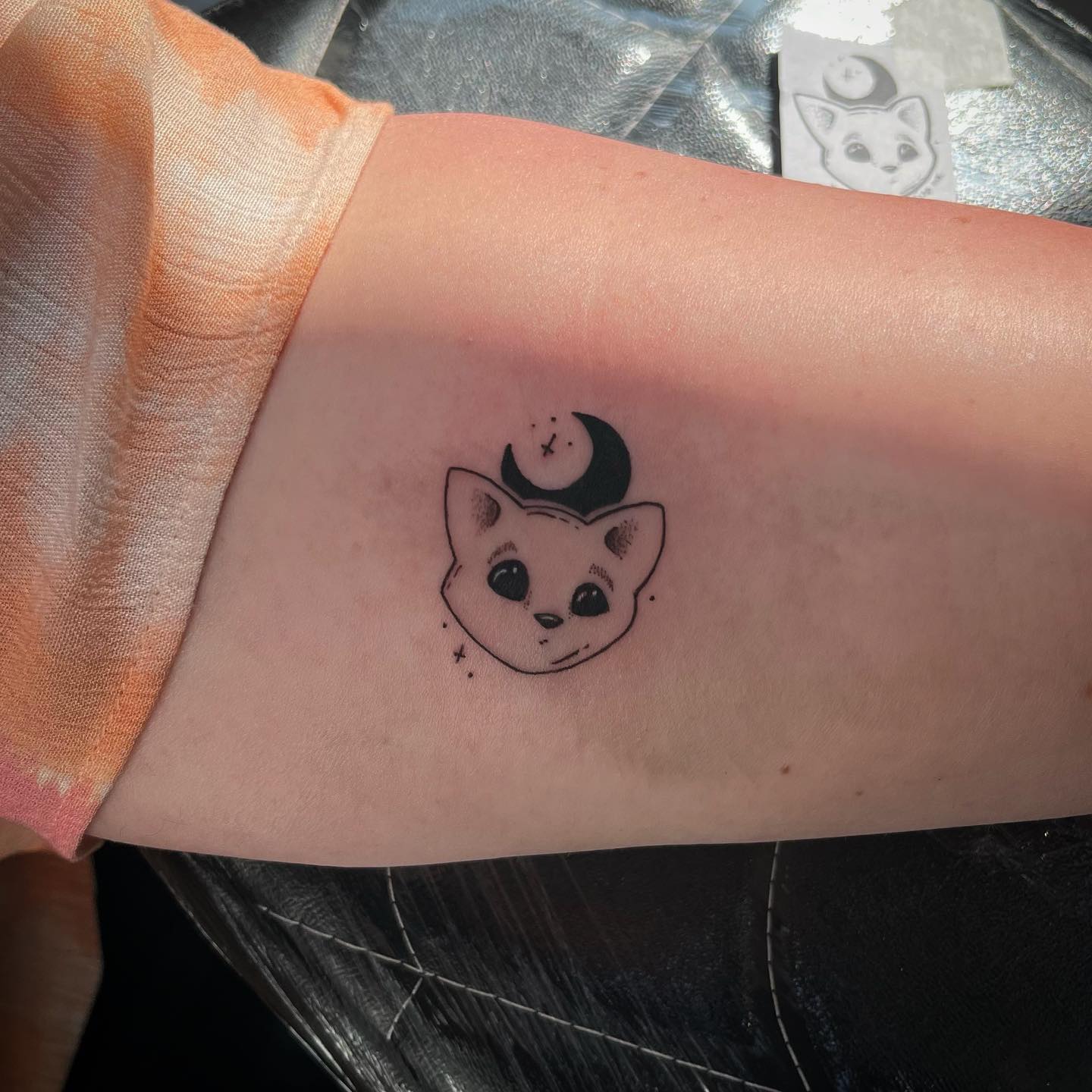 Tatuagem De Gato