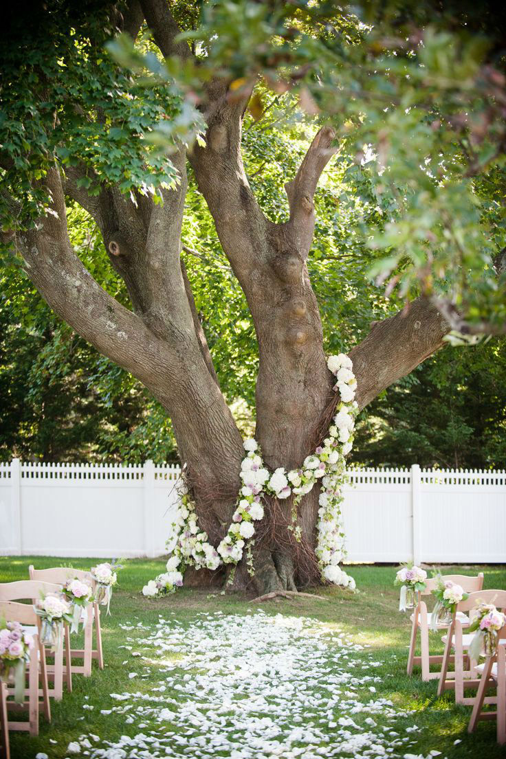 Casamento Ao Ar Livre Simples