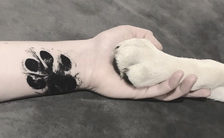 Tatuagem De Cachorro