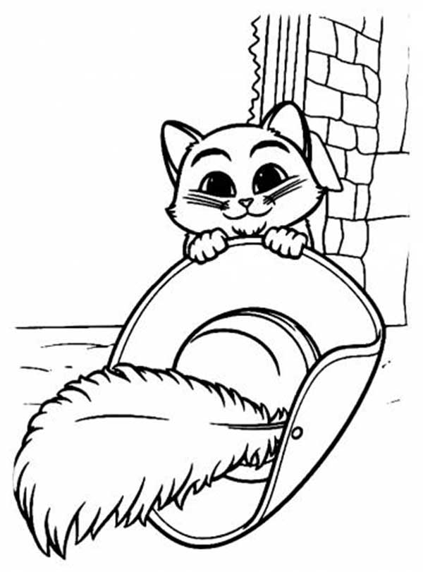 Web Stories40 Desenhos Do Gato De Botas Para Colorir Facil De Baixar