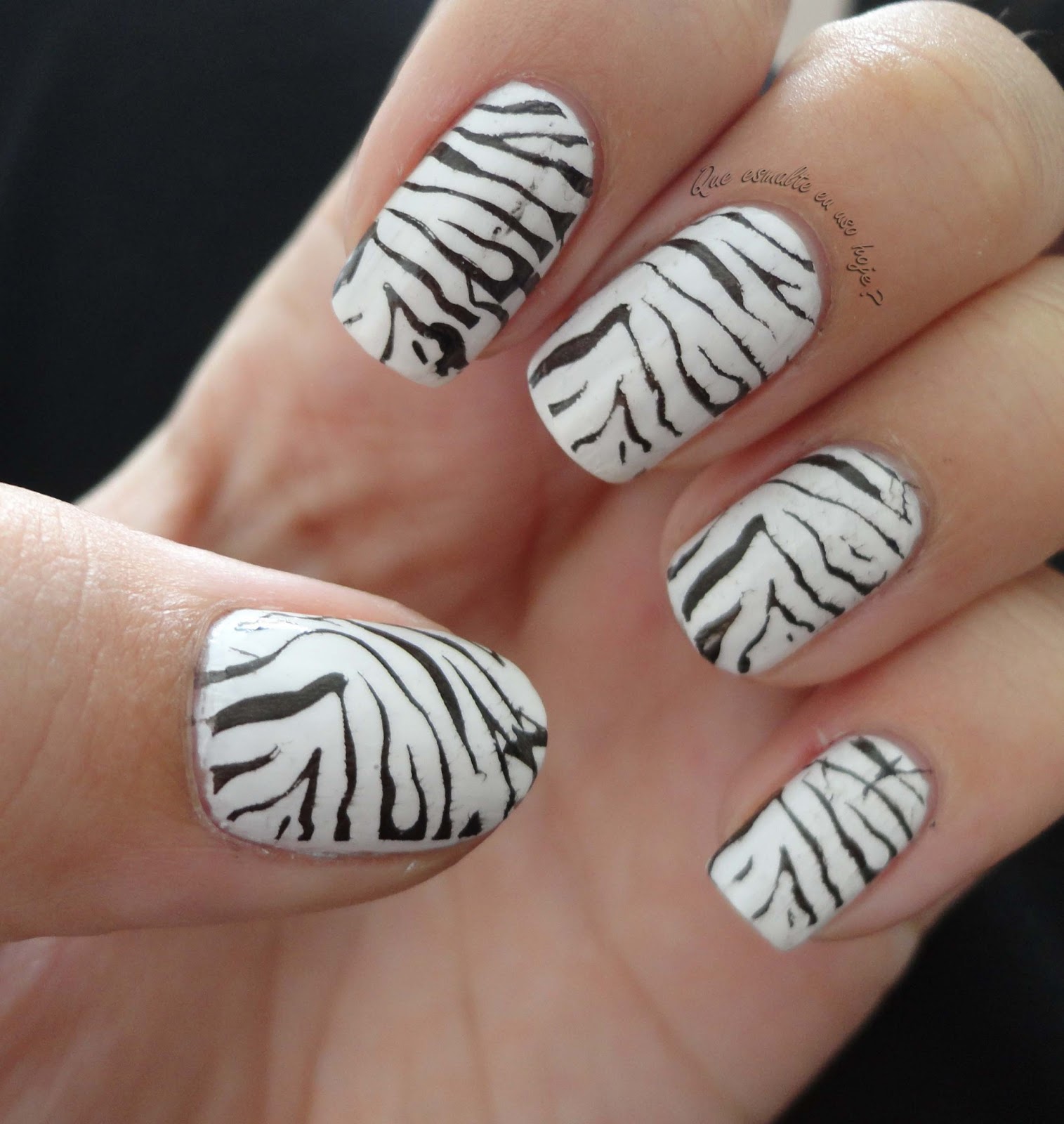 Unha Decorada Zebra