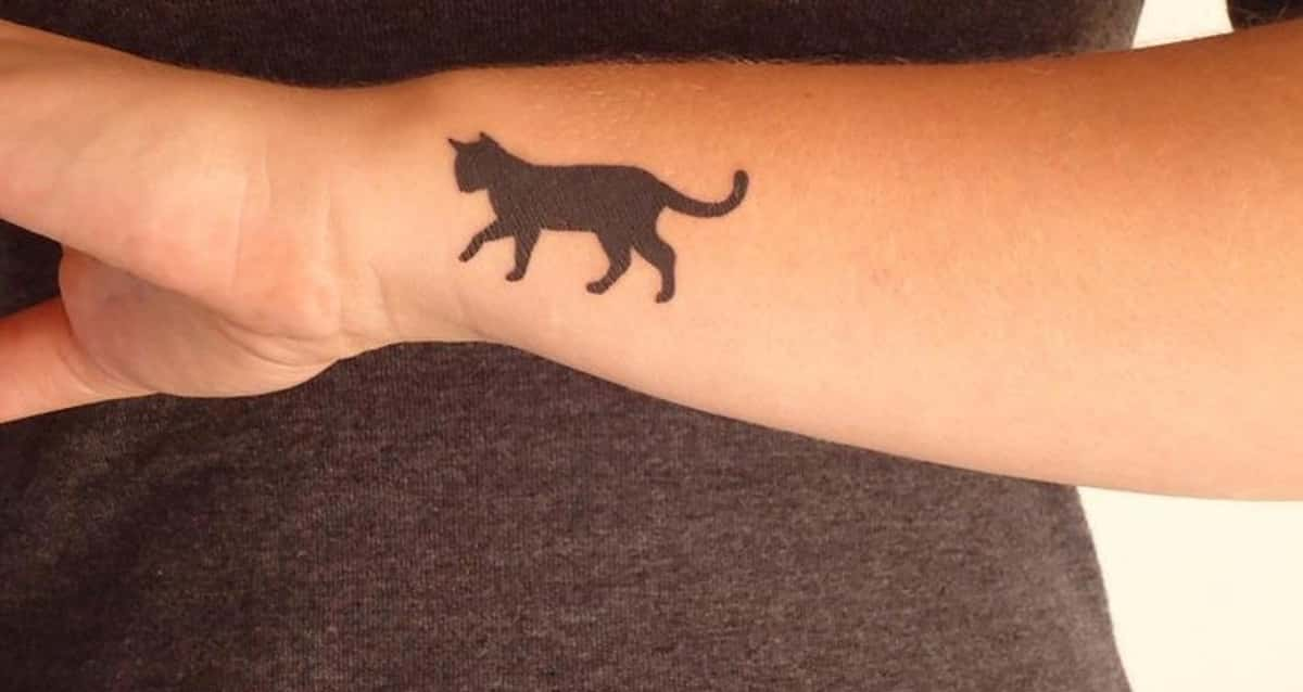 Tatuagem De Gato