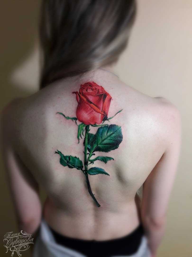 Tatuagem De Rosa