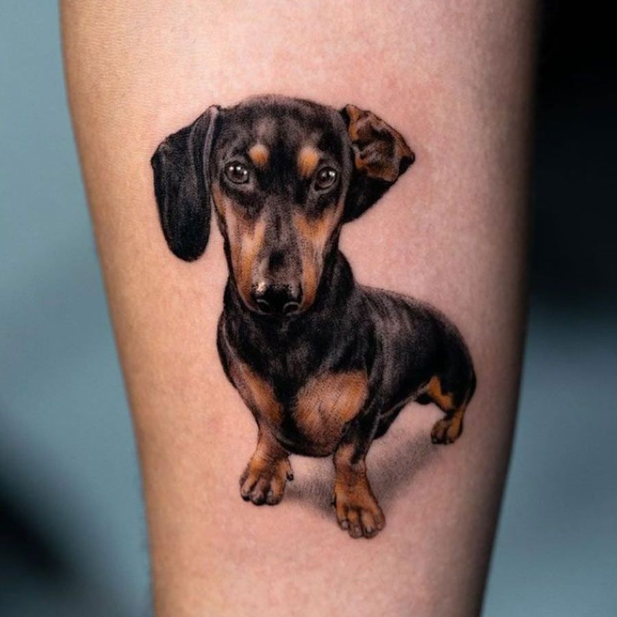 Tatuagem De Cachorro