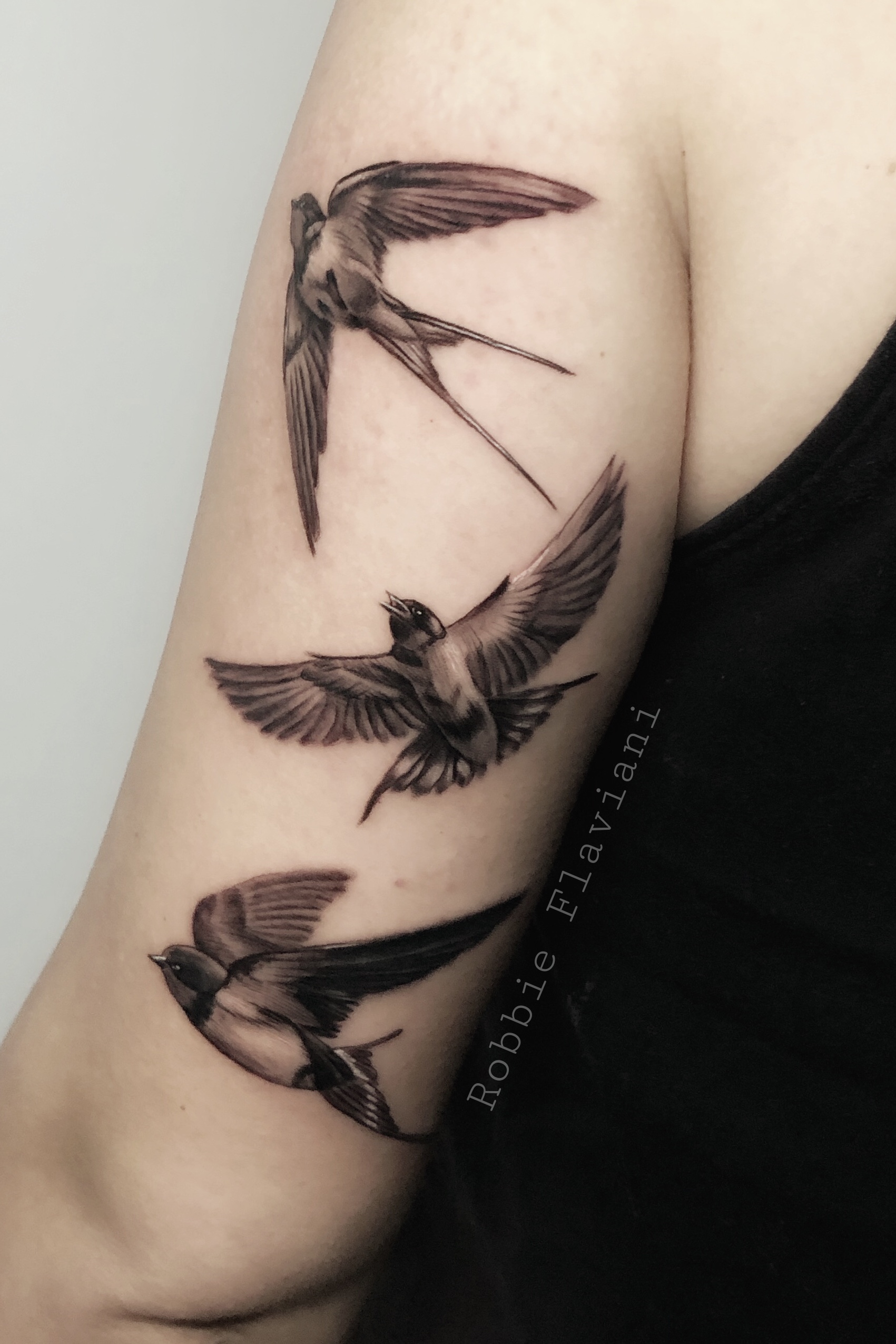 birds tattoo