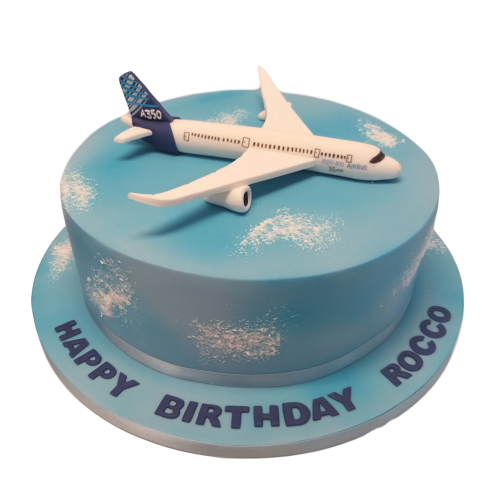 Airplane Decorated Cake