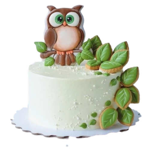 Owl Decorated Cake