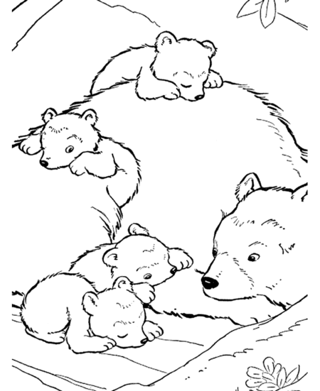 desenho-para-colorir-urso