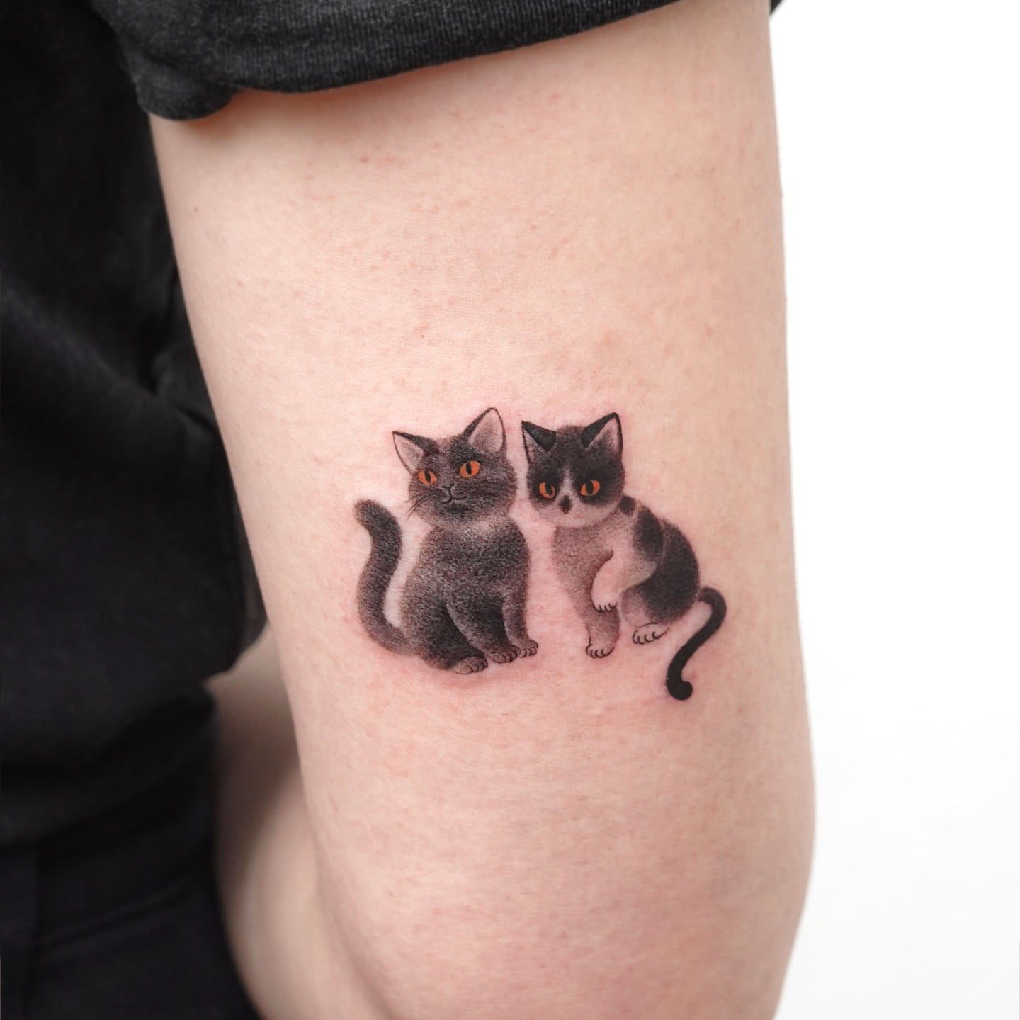 Tatuagem De Gato