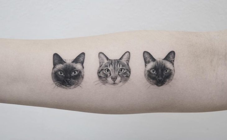 Tatuagem De Gato