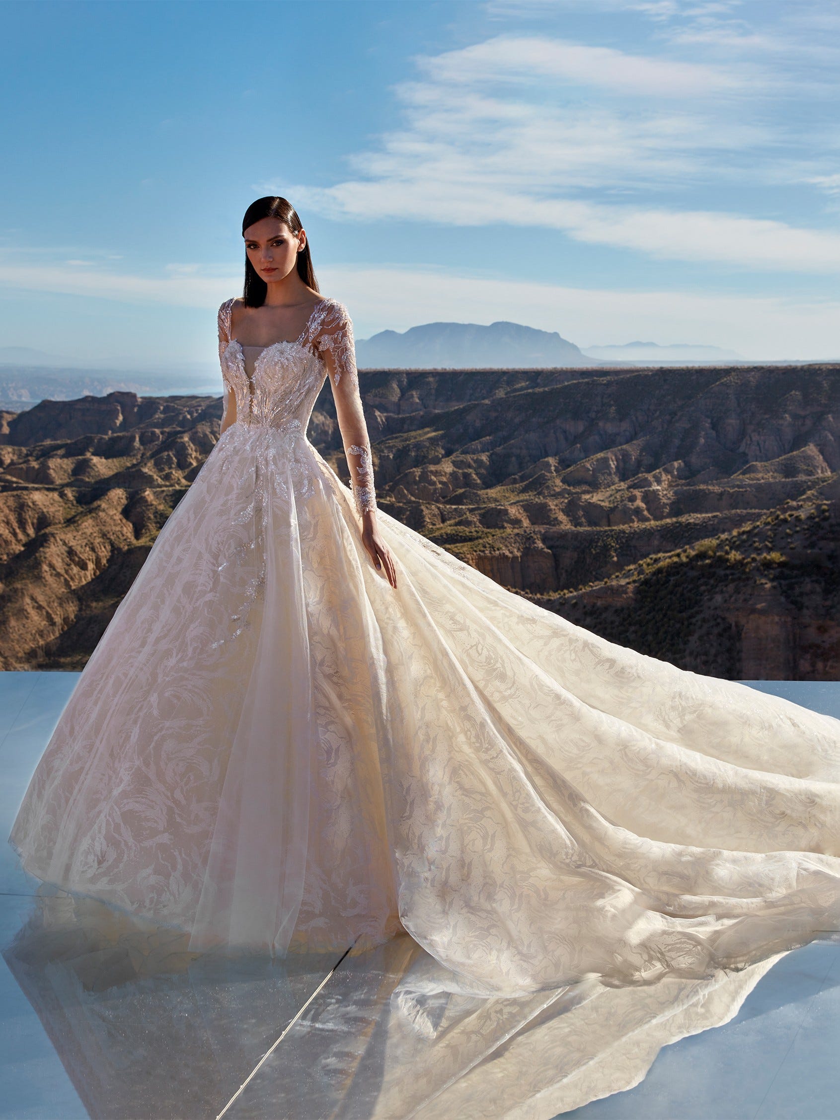 princess wedding dress