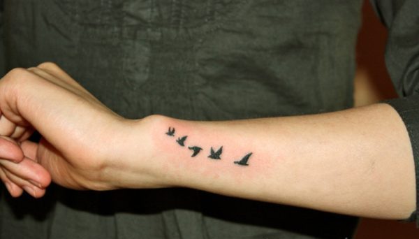 birds tattoo