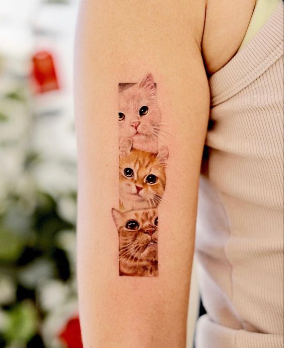 Tatuagem Feminina Gato