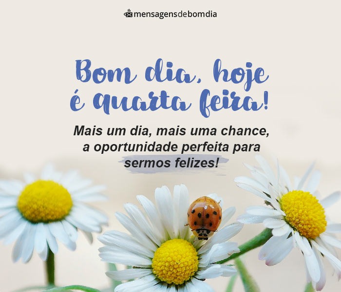 Mensagem De Bom Dia Quarta Feira