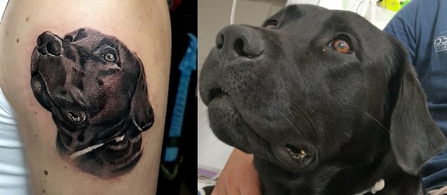 Tatuagem De Cachorro