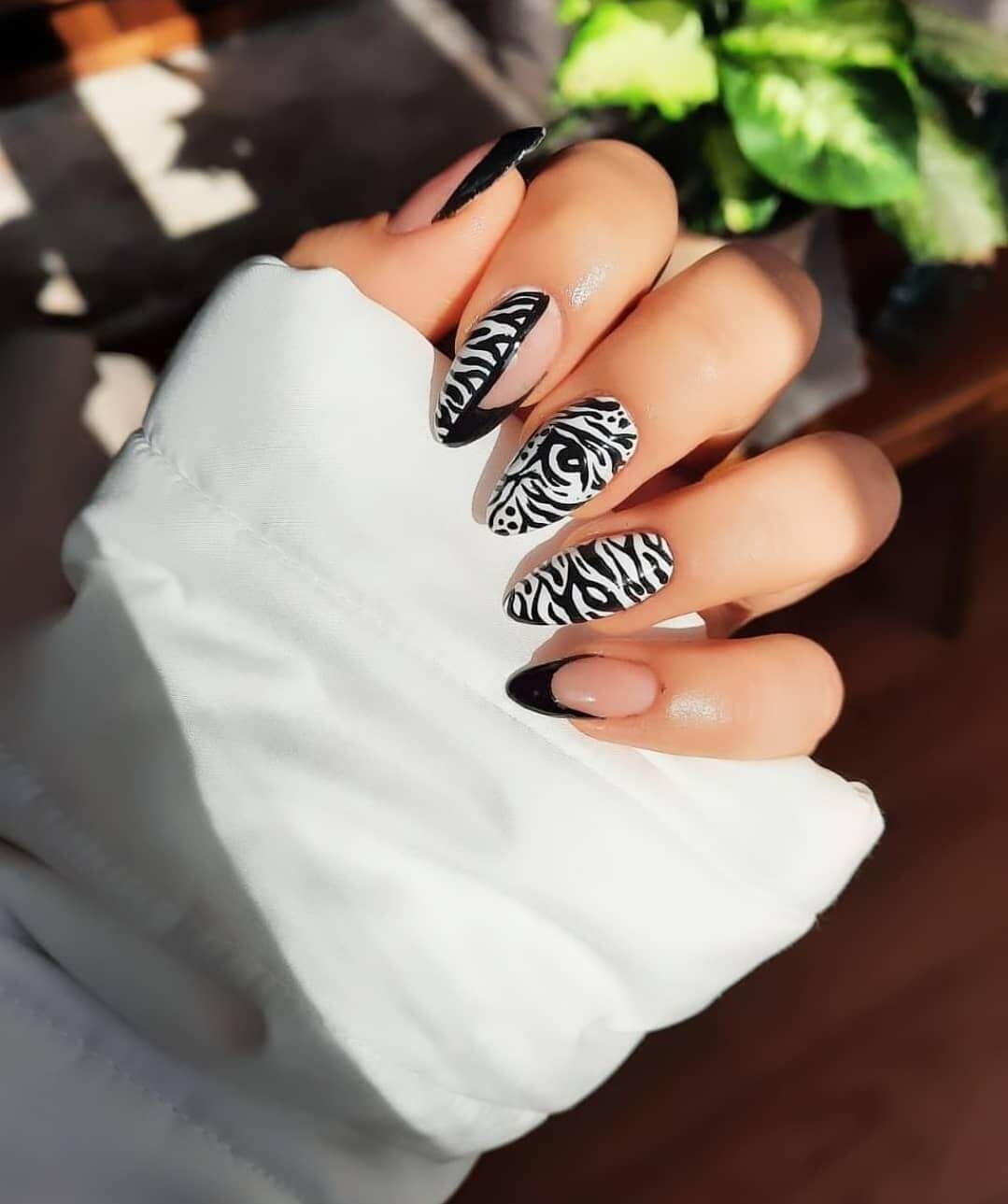 Zebra Decorated Nail