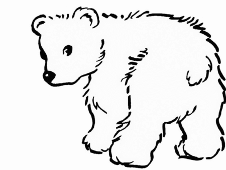 desenho-para-colorir-urso