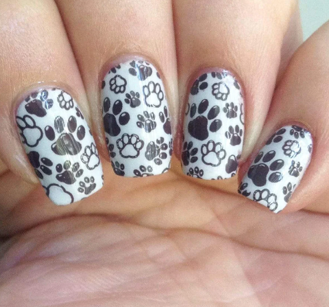 Nail Decoration PET Paw