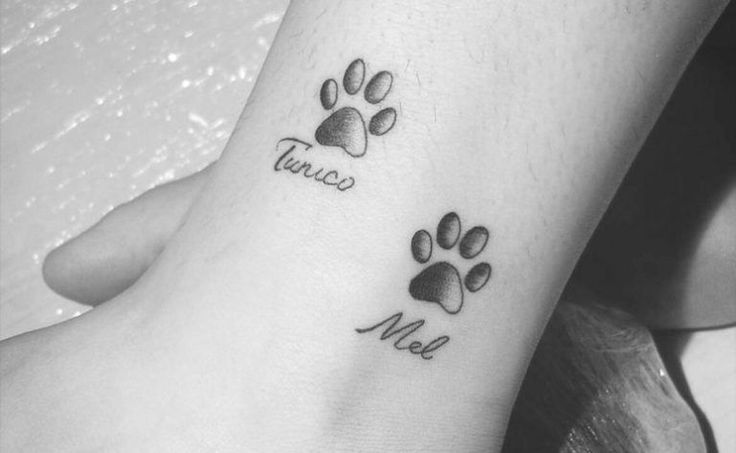 Tatuagem De Cachorro