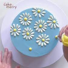 Decorated Cake Daisies