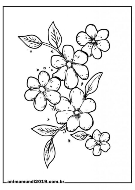 desenho-para-colorir-flores