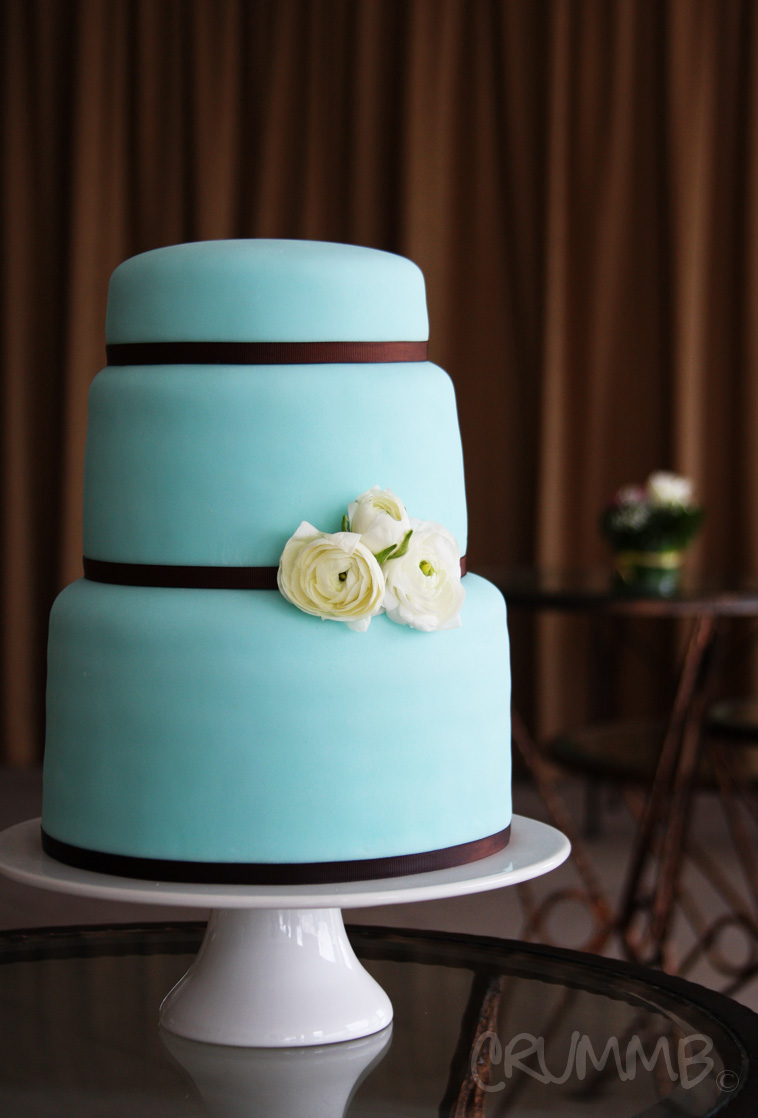 Tiffany Blue Decorated Cake