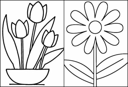 desenho-para-colorir-flores