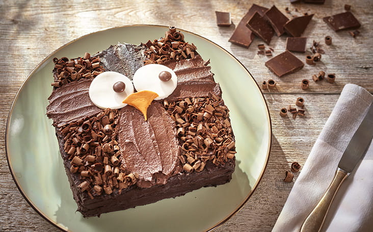 Owl Decorated Cake