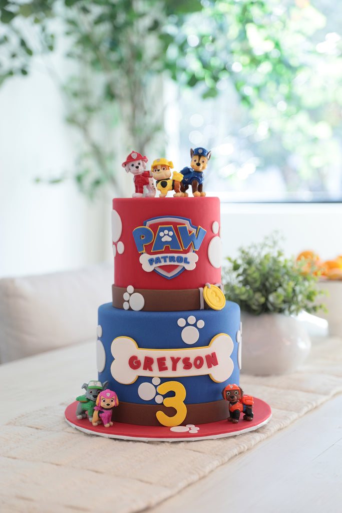 Paw Patrol Decorated Cake