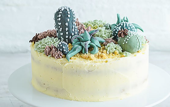 Cactus Decorated Cake