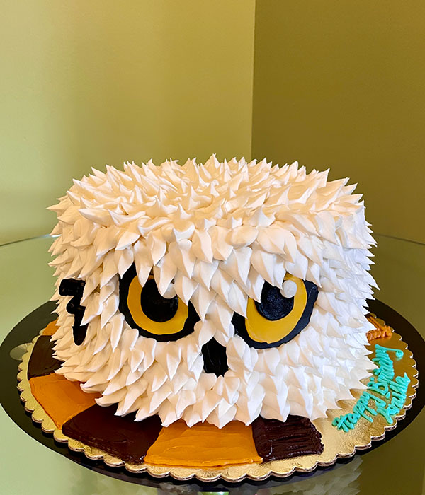 Owl Decorated Cake