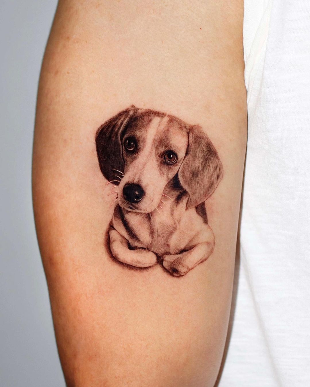 dog tattoo