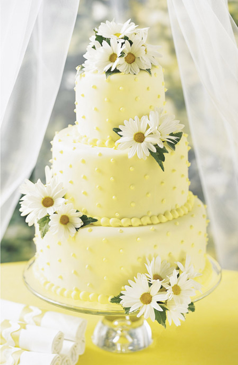 Decorated Cake Daisies