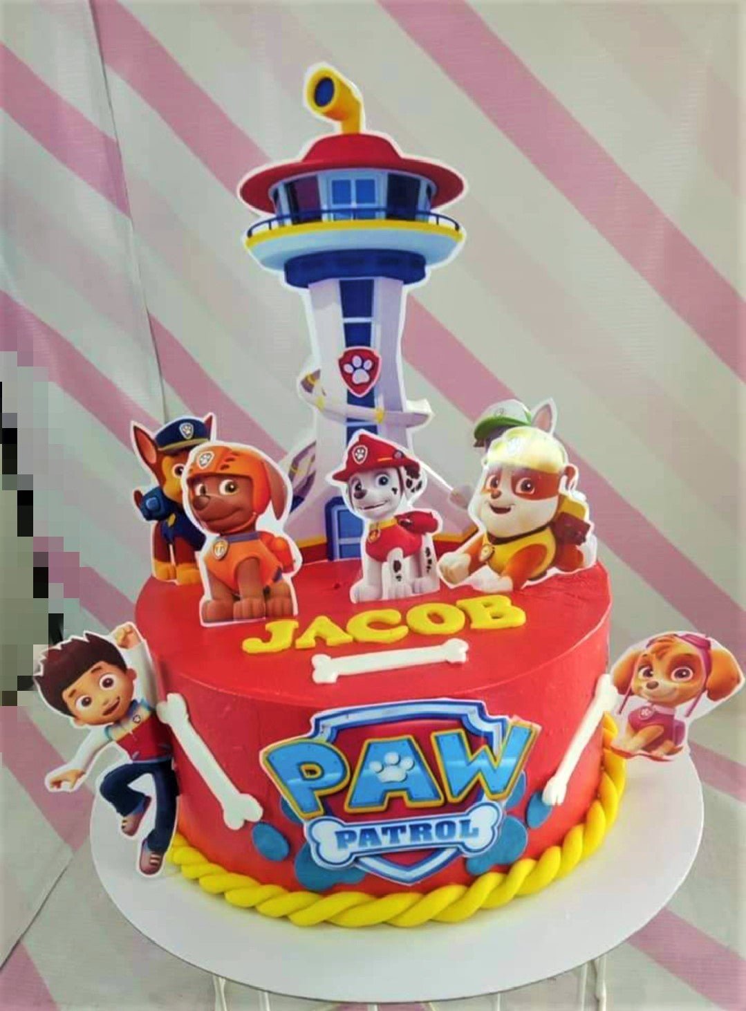 Paw Patrol Decorated Cake