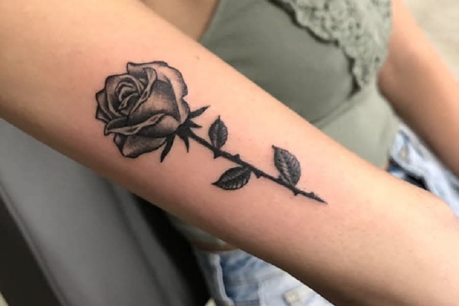 rose tattoo