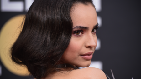 Makeup with Pink Dress Red Carpet