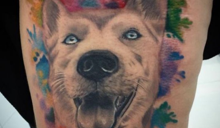 Tatuagem De Cachorro