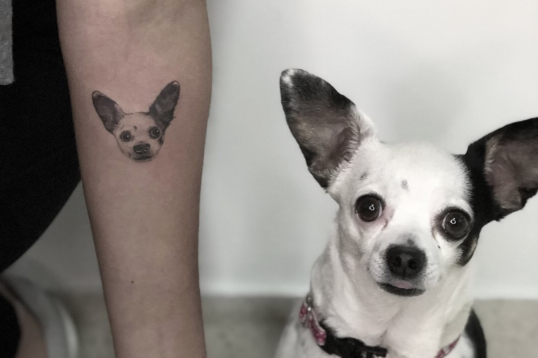 Tatuagem De Cachorro