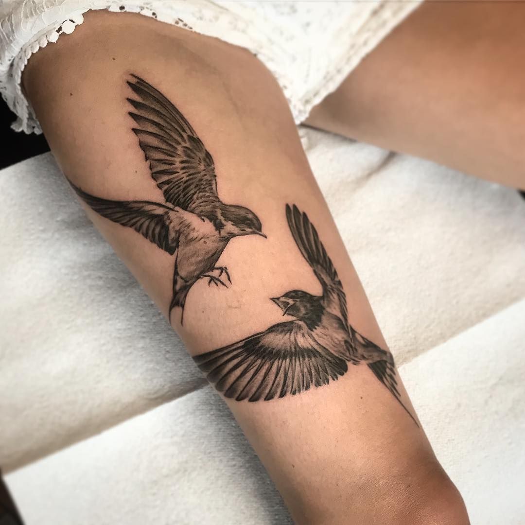 Tatuagem De Passaros