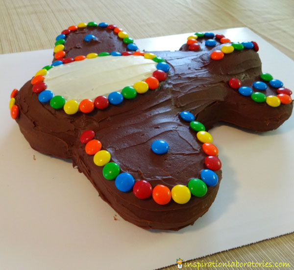 Airplane Decorated Cake