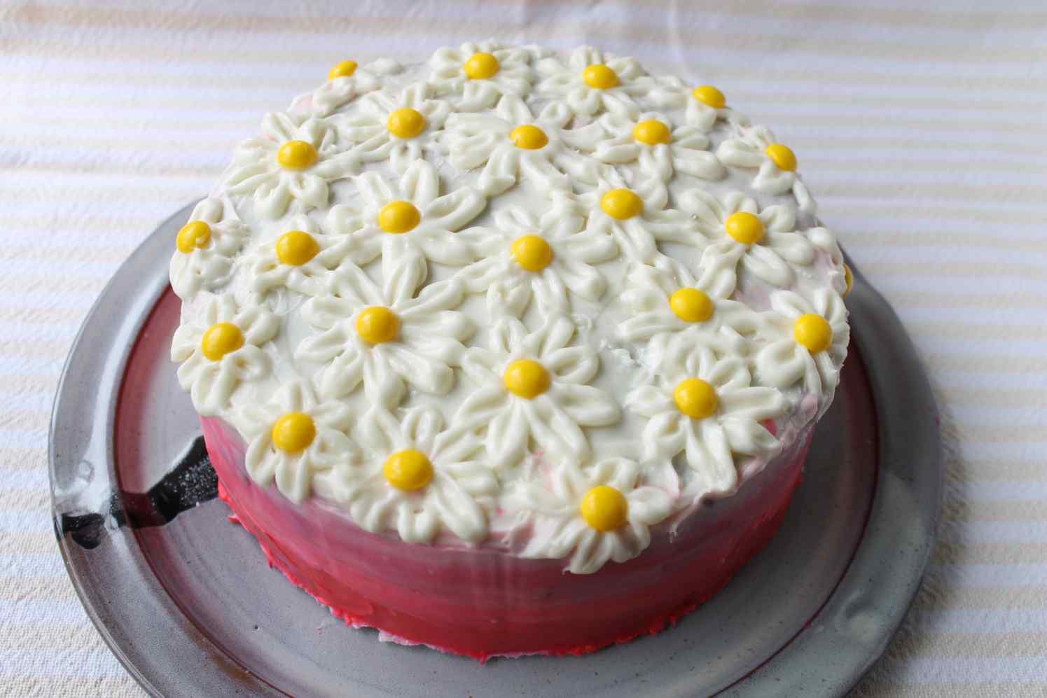 Decorated Cake Daisies