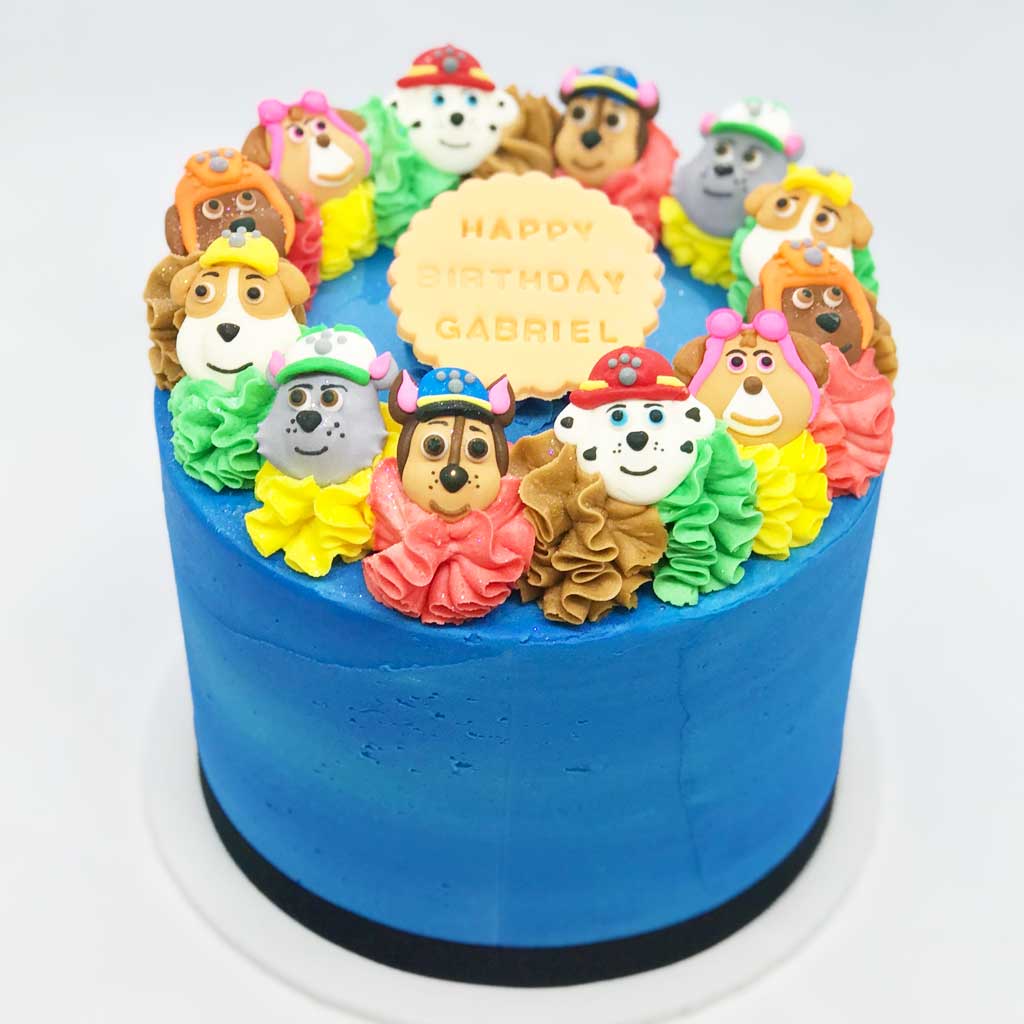 Paw Patrol Decorated Cake