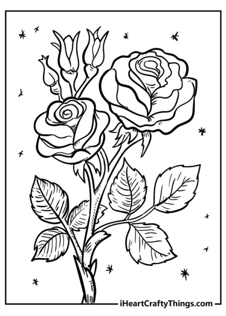 desenho-para-colorir-flores