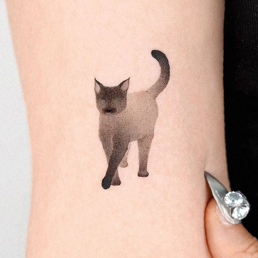 cat tattoo