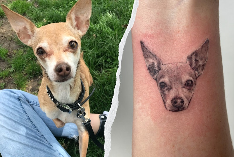 dog tattoo